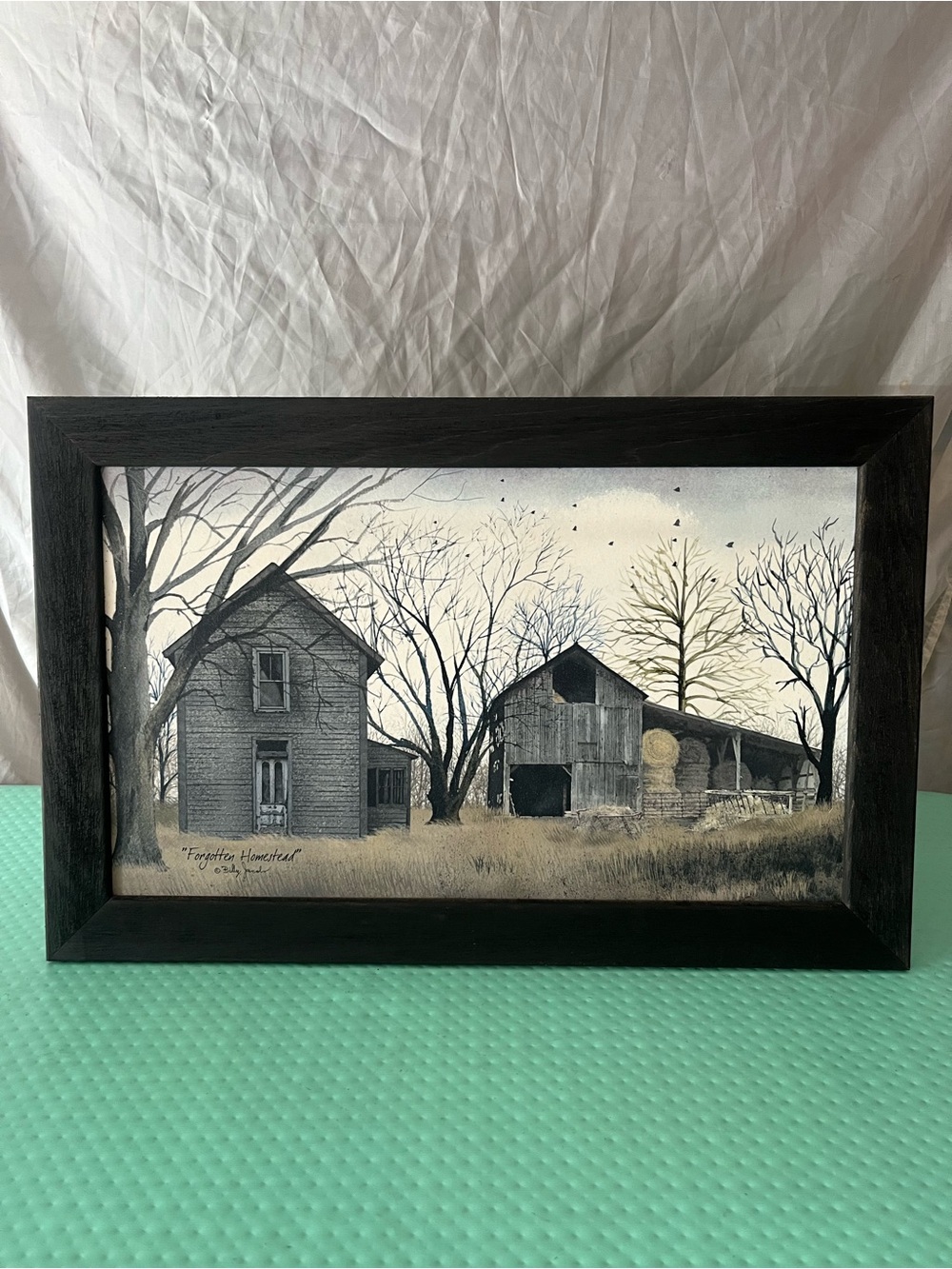 Authentic Billy Jacobs Forgotten Homestead 23x15 Black Wood Frame Sealed Picture